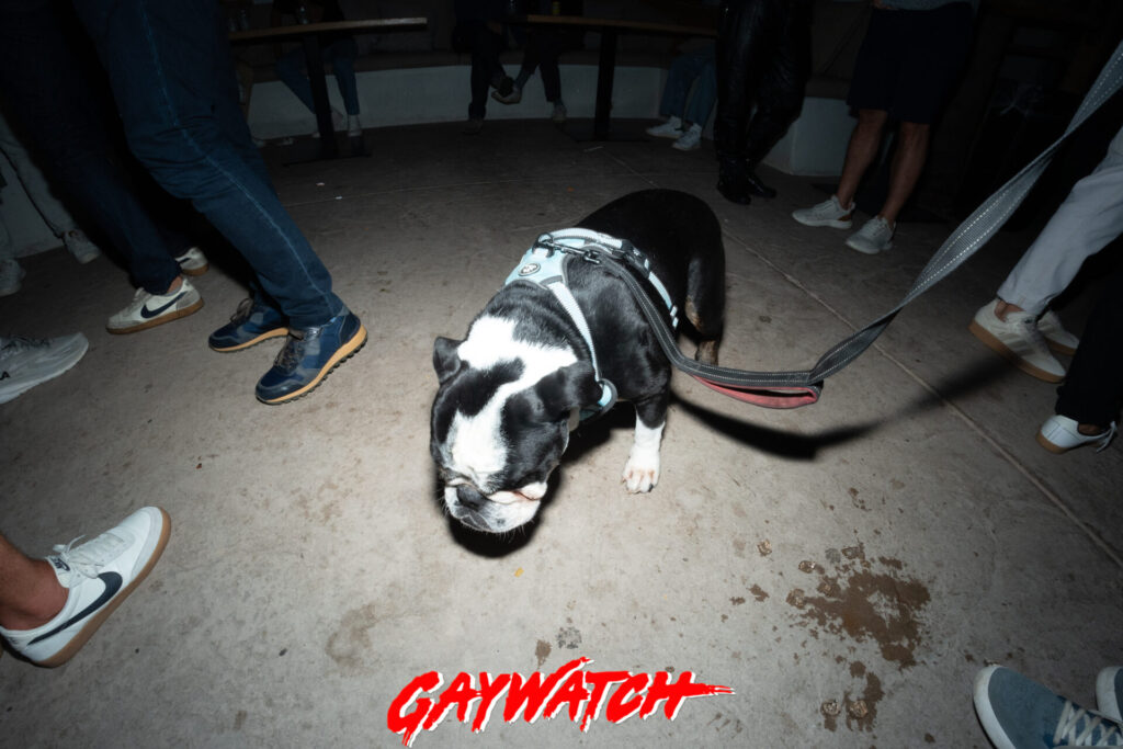 Gaywatch - August 23, 2024